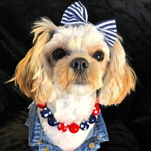 Spot On the 4th (13") - Pet Necklace - Pet Accessories